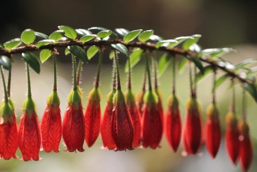 佛山南海区9私人快速借钱网，轻松解决资金难题