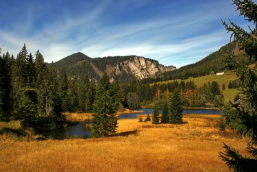 佛山南海区9民间私贷攻略：揭秘低成本借贷的秘密