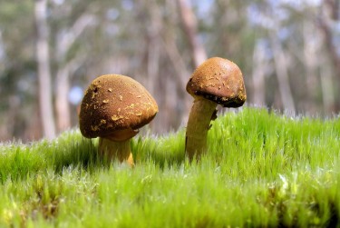 佛山南海区9私人老板放款：轻松融资的秘密通道